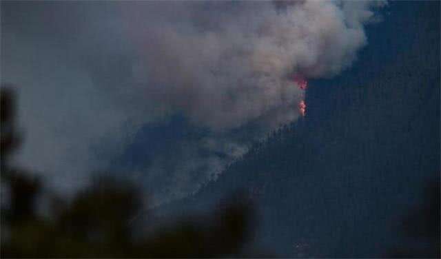 Featured image for “Forest fire in Tibet burns around 700 hectares of land”