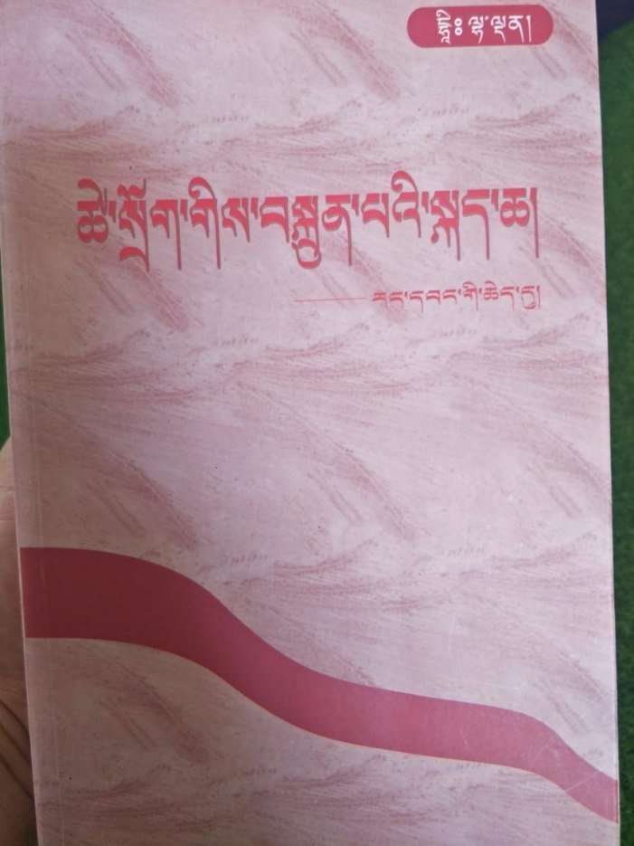 Dhi Lhaden's book, 'The Art of Passive Resistance', was released in 2008 and translated into English in 2015