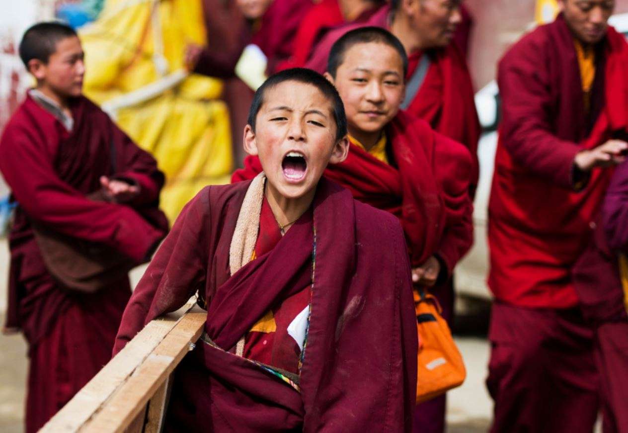 Featured image for “Primary school at Buddhist monastery forced to close”